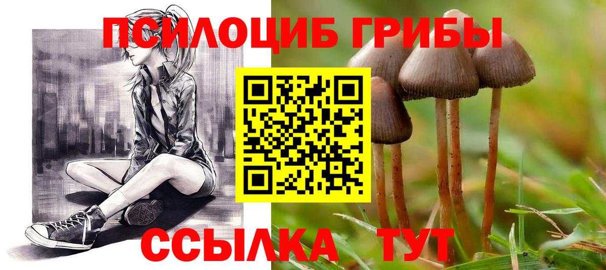 как найти   Галлюциногенные грибы Magic Shrooms  Вход с VPN  Морозовск 